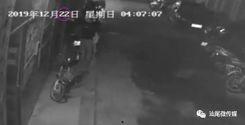 工厂视频爆料,揭秘生产线真实面貌  第3张